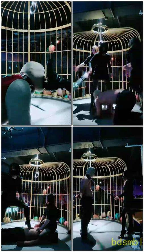 【糖糖的小姨】酒吧双主调狗