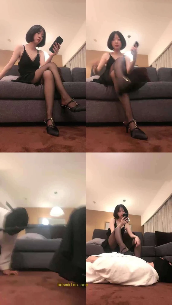 【十七宫】高龄狗受辱纪实