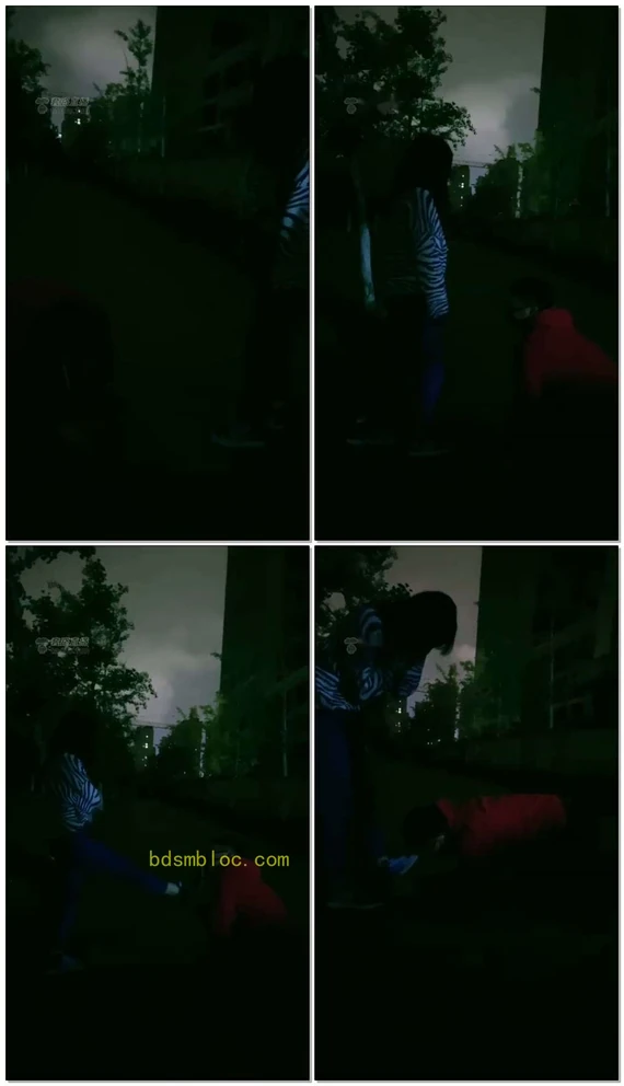 【王妃】户外遛狗舔鞋亲脚耳光骑马等