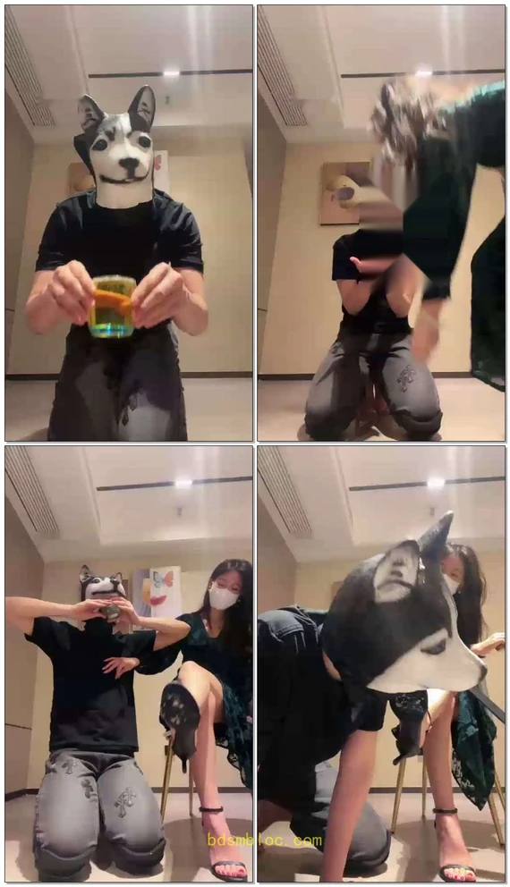 【禾未】浓圣水浇喂狗杂种犬化家奴第七弹