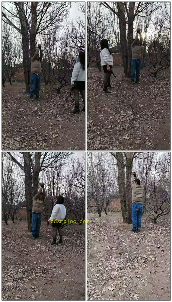 【沐颜s】老狗吊树上数据线鞭打