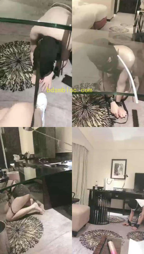【百变女王鹿】你懂的