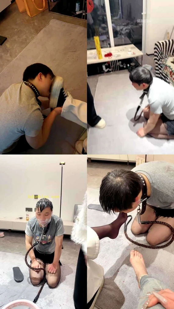 【蜡笔小新】开发邻居一起玩狗