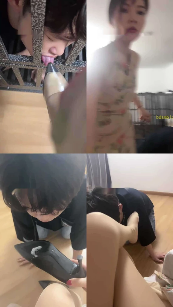 【木子大大】狗笼圈养/舔高跟耳光/犬化/鞭打