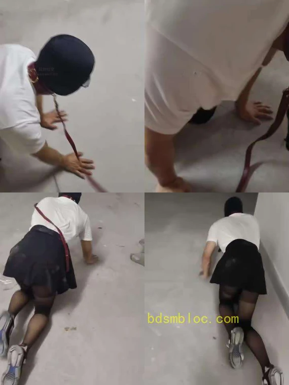 【苏苏不苏】户外遛狗爬行犬化