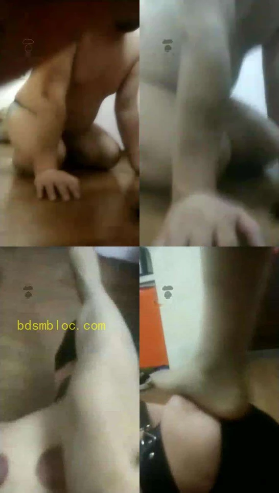 【茉涵S】肉丝红高玩贱狗