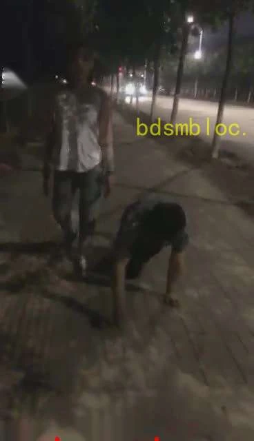 【00后冰冰女王】养户外_马路遛狗遥贱逼_上部_