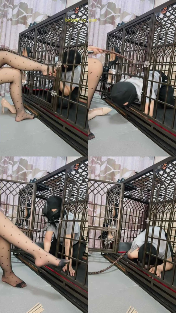 【小羊姐姐】囚禁狗笼/清理脏高跟/强制闻鞋/赏赐圣水