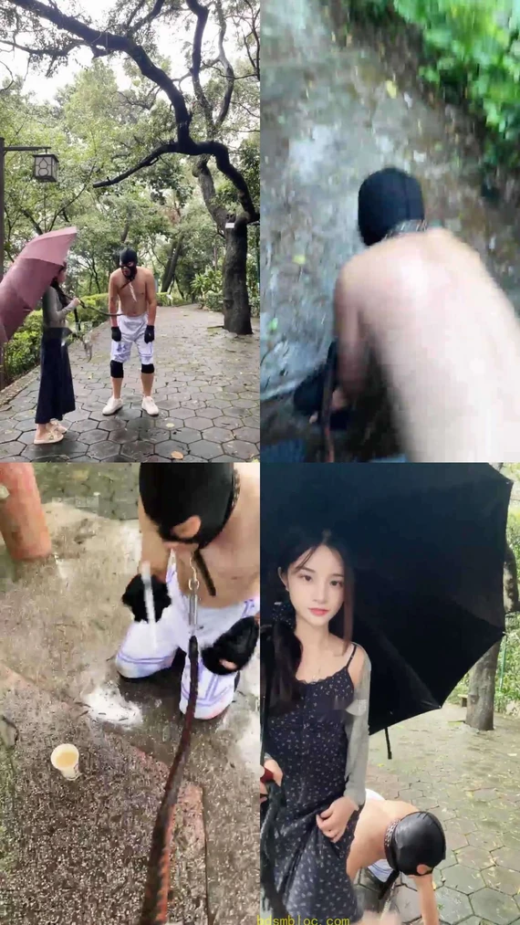 【香芋朱朱】户外调教 雨中虐待爬行