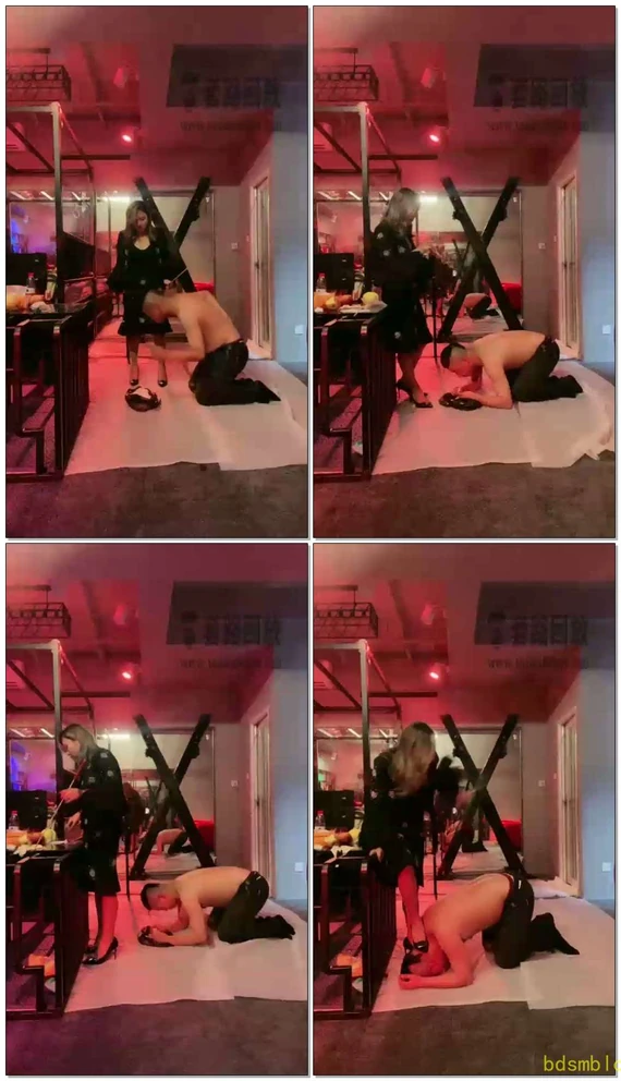 【成都六姐】垃圾桶满了叫个畜生来吃干净