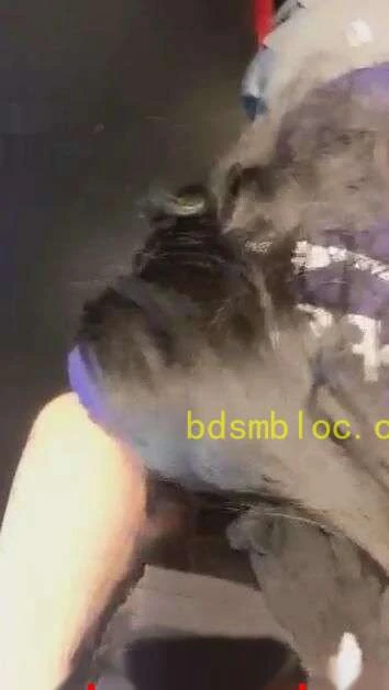 【小贝】（新！必看）KTV女奴TJ无下限羞辱