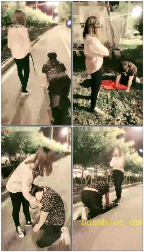 【南笙四爷S】小区门口升水调教，遛狗，钻跨结尾路人帮M求放过