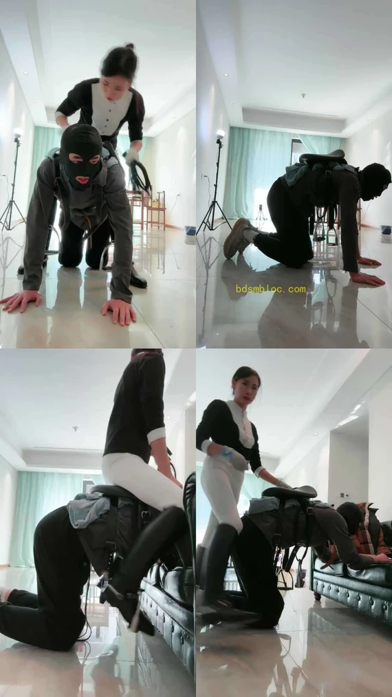 【爱丽丝】驯化马奴专场