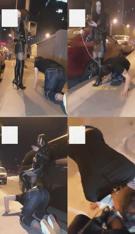 【艾丝】【VIVI】超刺激！午夜遛人形犬