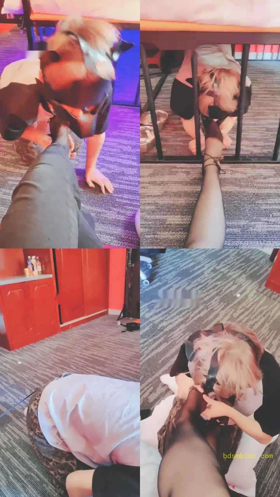 【桃一】犬化戴狗头套的贱奴才