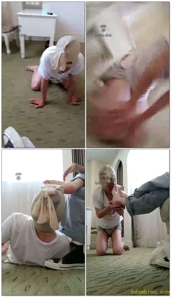 【哈宝s】玩一只自称王者的狗