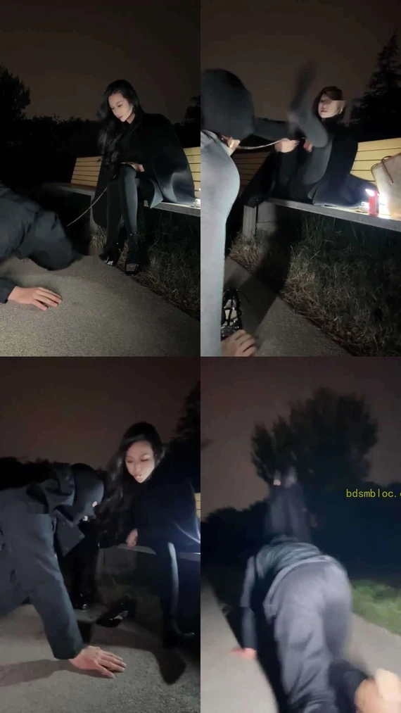 【水晶熊】户外除臭舔脚踢裆圣水遛狗玩