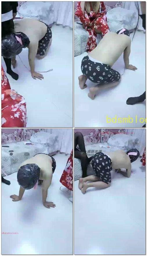【草莓味】学生主双s调贱狗