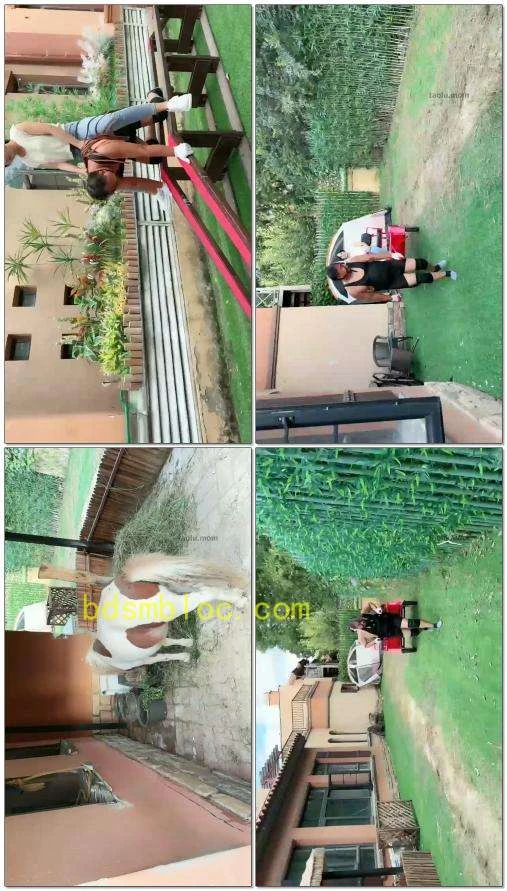 【红焱S】断头骑马拉车专场