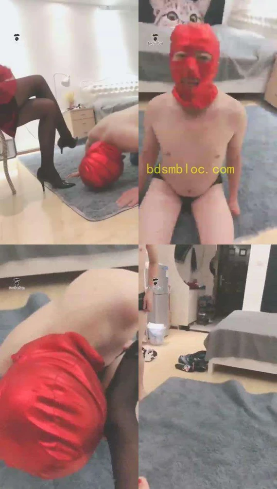 【贵阳冷御大大】老狗就是溅史上最笨的傻狗