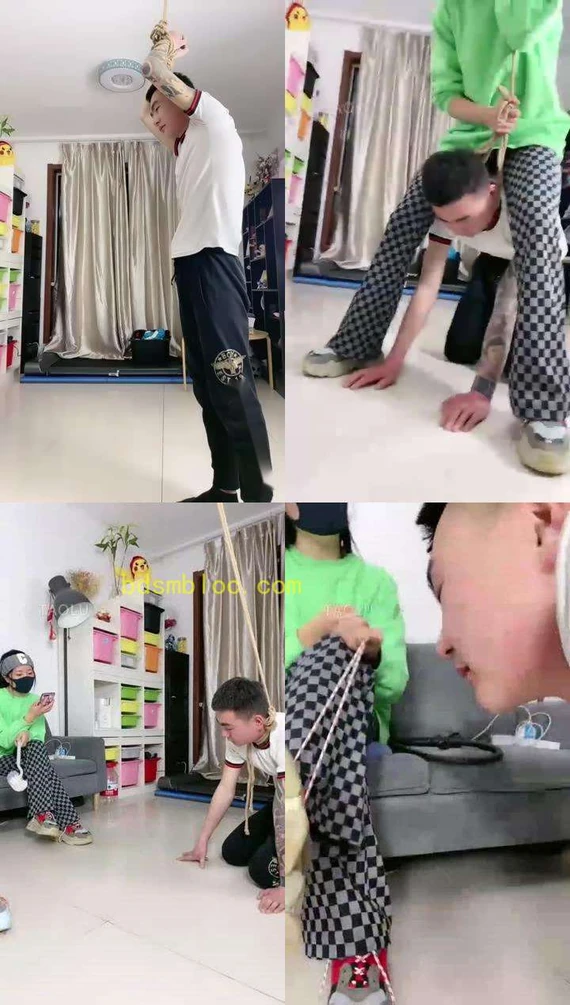 【美离子】暴力场纠缠了我一年半的狗
