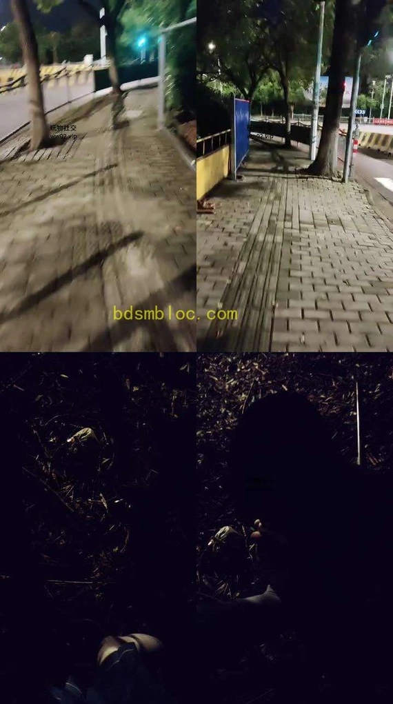 【苏梦】户外白袜玩跟踪狂