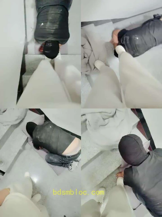 【李老师】小白鞋踩虐/楼道遛狗羞辱