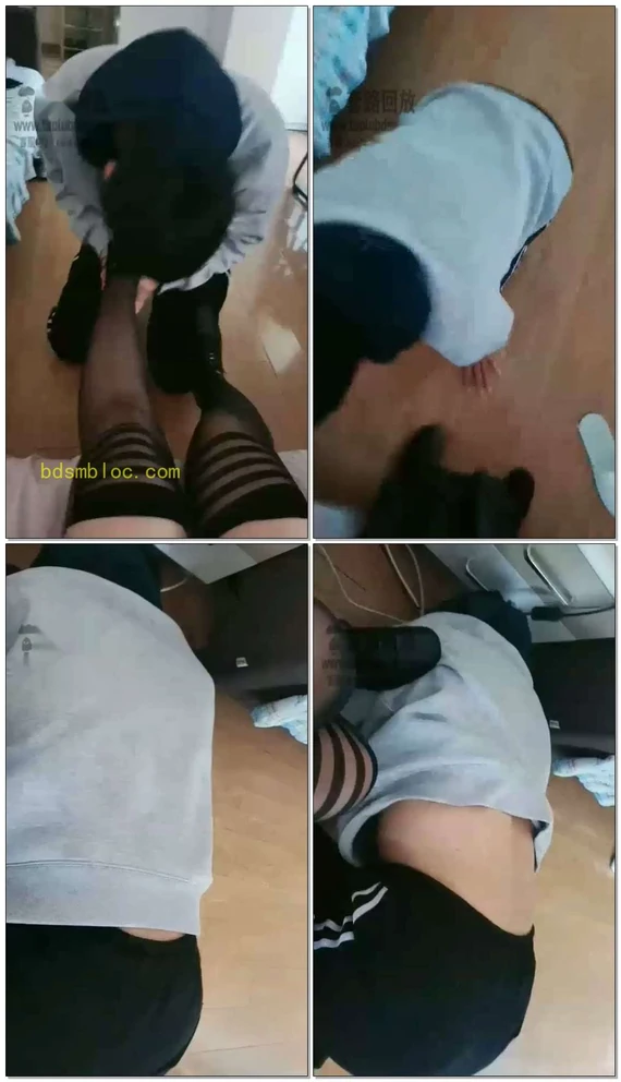【学生诺熙S】学校解封后开始调狗了（一）