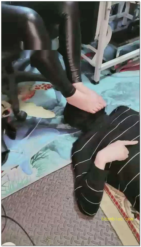 【西安欣】戏耍，强迫狗子吃完板栗酥配大酱