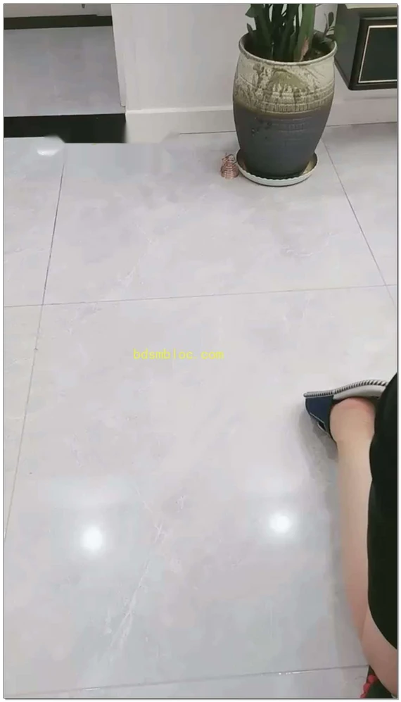 【清见S】调教女奴，第一次尝洪金