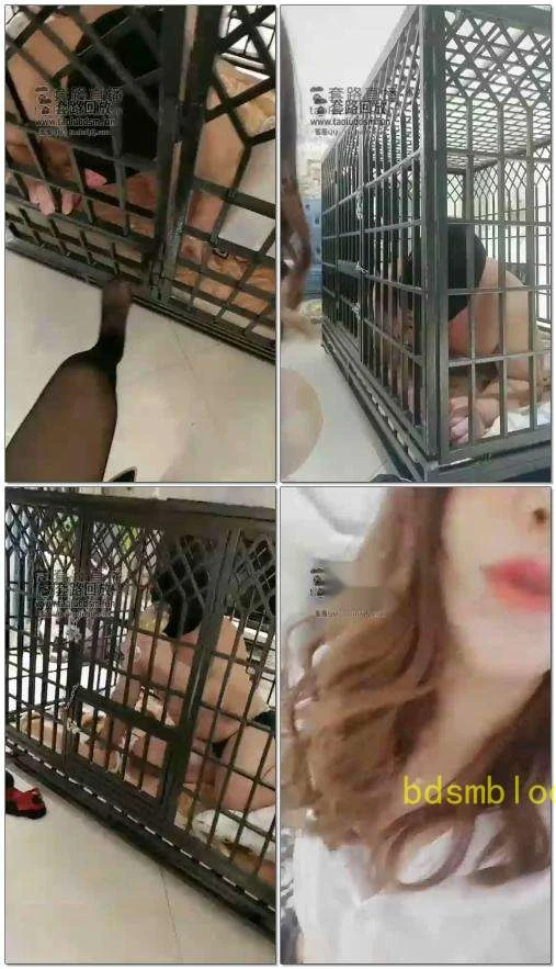 【京S维维】圈养了几个时辰后