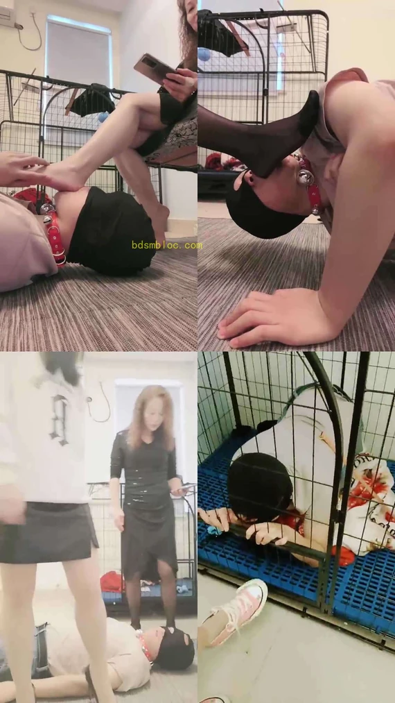 【安静S】亲母女三人圈养奴才【超完整多视角版】