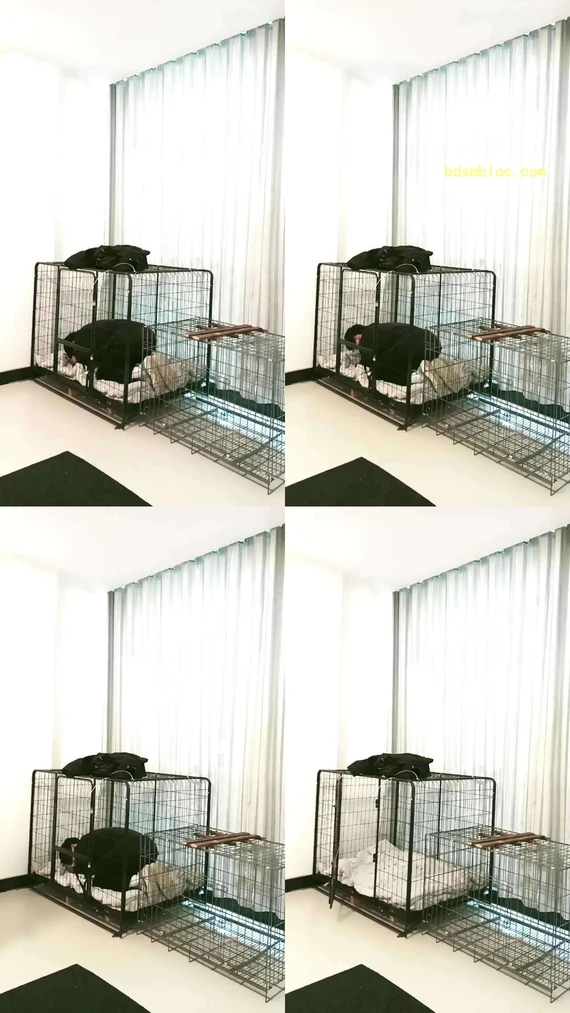 【天韵女皇】狗笼圈养犬化