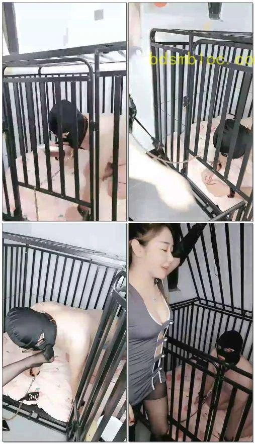 【上官婉儿s】畜牲吃祖宗嚼的咀嚼物维持生命