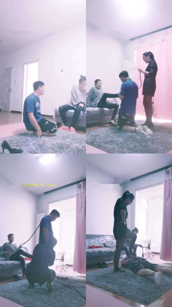 【紫晗】收拾废物狗子