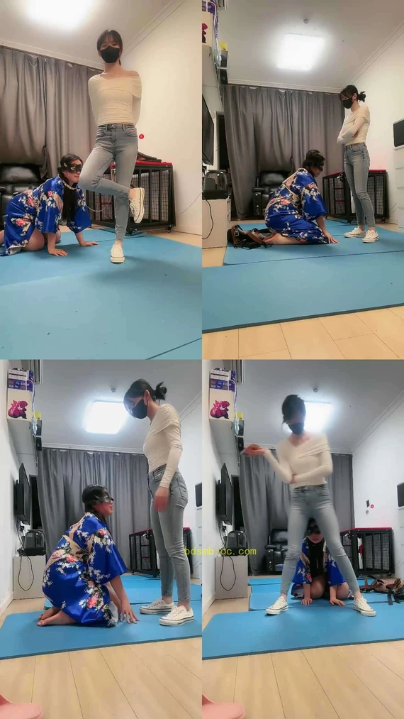 【暴主s】母畜的哀鸣与幸福
