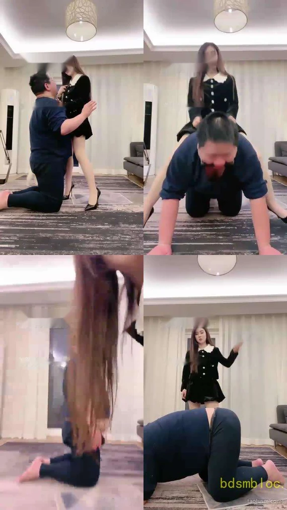 【风吟】中年老肥狗