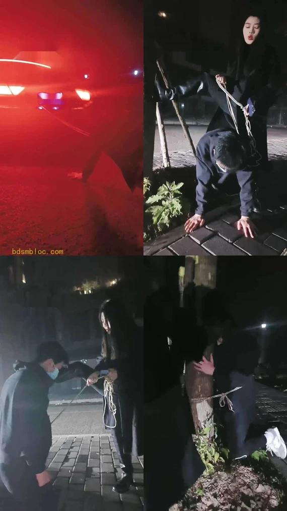 【昭玥】夜调-开车遛狗/骑马钻胯/绑树耳光