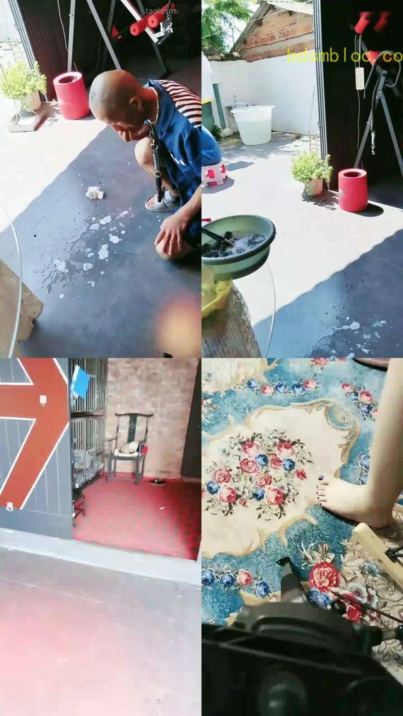 【圈养基地】入地牢，喂流食，剃发