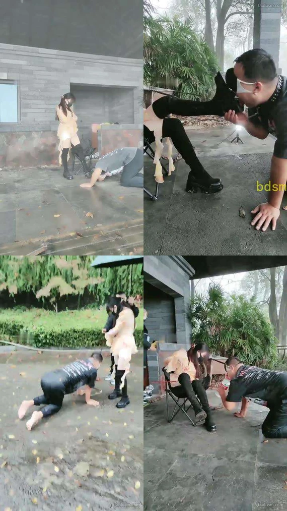 【重庆伊晨s】雨天户外训狗偶遇路人经过