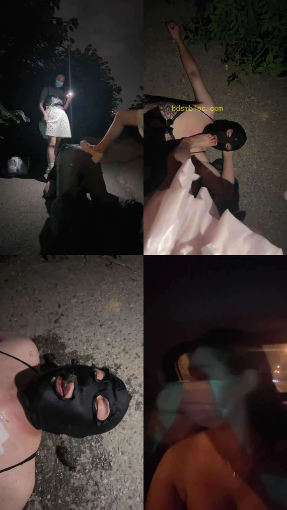 【桃欣大女主】糖糖，小拽主人，桃欣大女主，尾随狗让他轮流吃屎