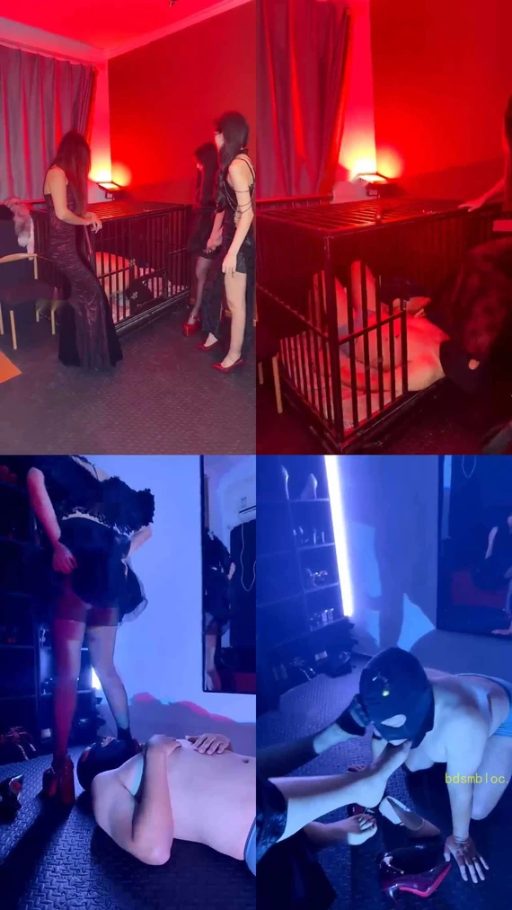 【奈米】三主调教笼中狗