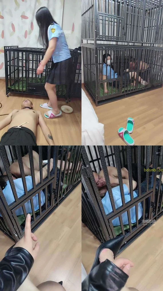 【沈阳饲养员】圈养畜生的日子