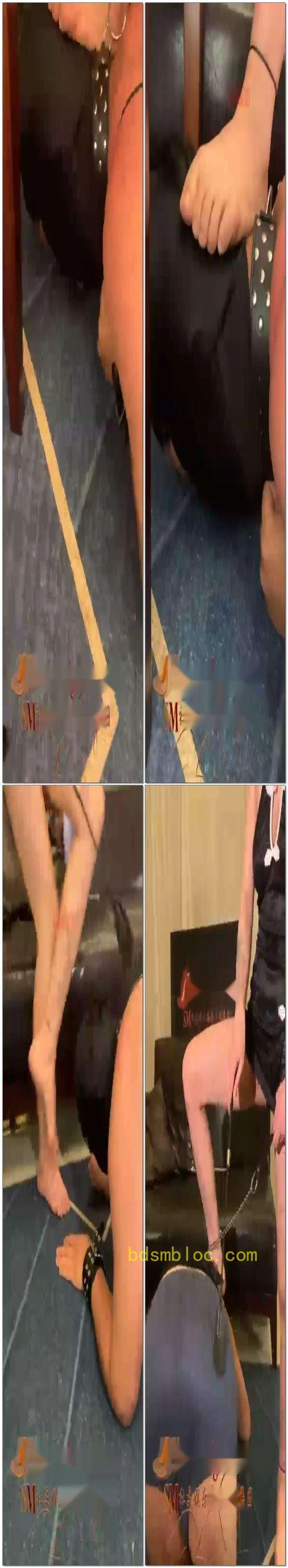 【苏曼】母狗翻身欺负公狗强迫舔她的口水骑马sp