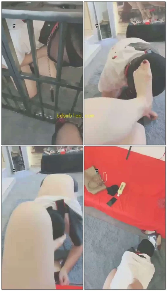 【妖妖学姐】狗笼子里舔绝美黑丝+脚耳光+脚深喉