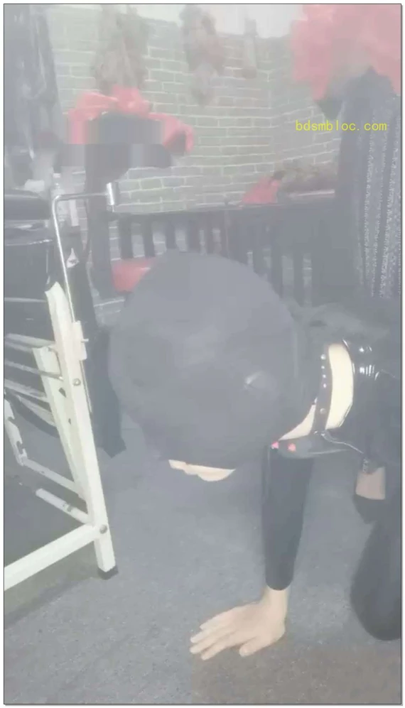 【雾凌霜寒S】小恶魔项园控制小奶狗