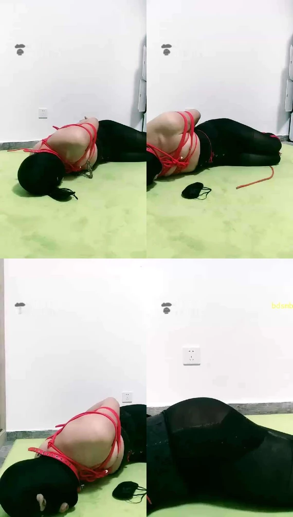 【猫女殿下s】捆绑贱狗，SP
