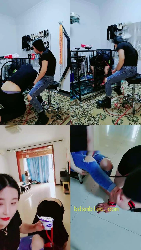 【西安欣】狗笼圈养犬化-舔脏鞋/闻超臭原味袜/骑马转胯溜狗