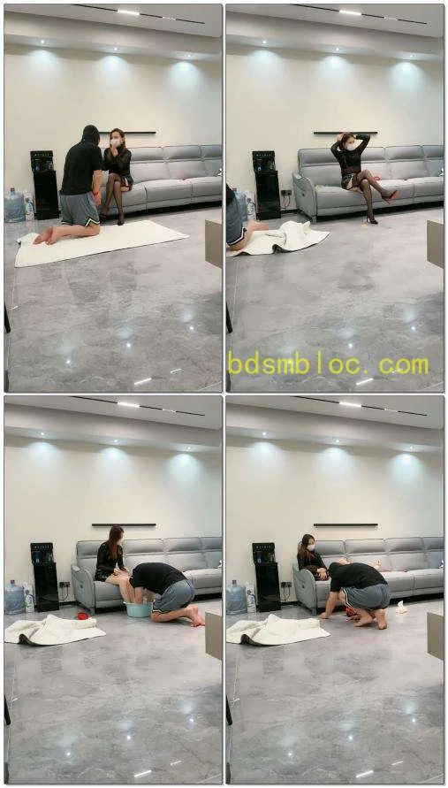 【三千女王s】业主群里遇到一条狗小哥是条狗