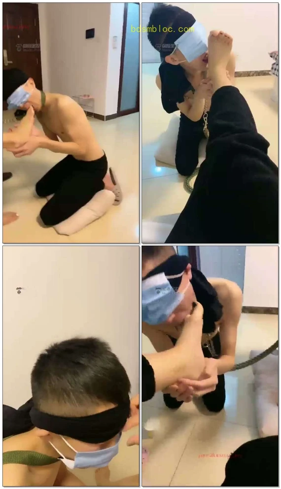 【豆雅双女王】双主调狗清理脚丫